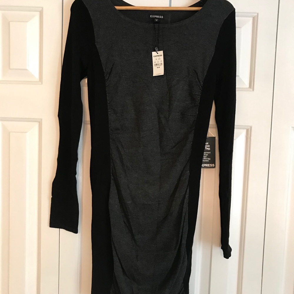 Express sweater dress with ruching detail